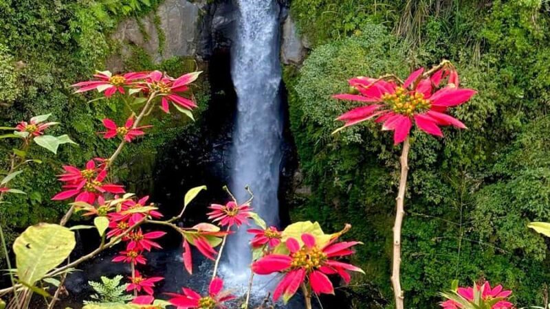 Kedung Kayang Waterfall and Merapi Jeep Lava Tour - Key Points