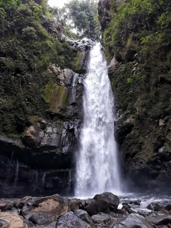 Kedung Kayang Waterfall & Selogriyo with Trek 1km Ricefield - Who Will Enjoy This Tour?