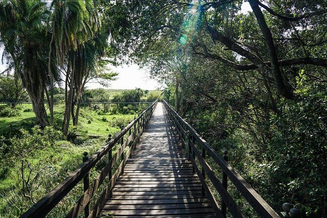 Keekorok Lodge 3 Days, 2 Nights Maasai Mara Offer - The Sum Up