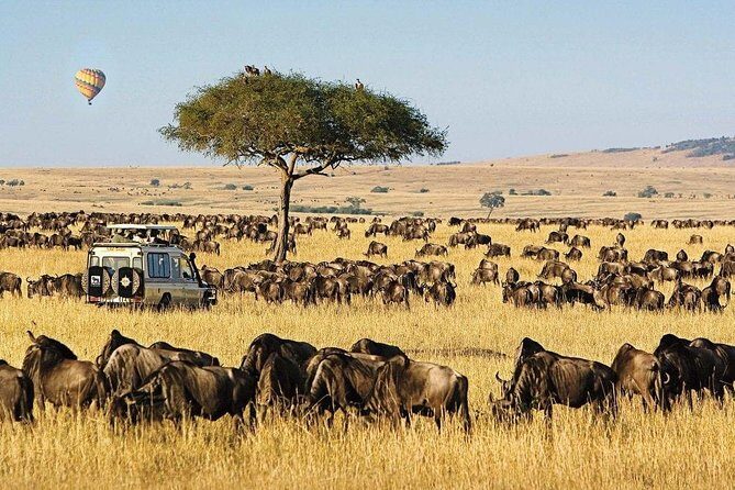 Keekorok Lodge 3 Days, 2 Nights Maasai Mara Offer - FAQ
