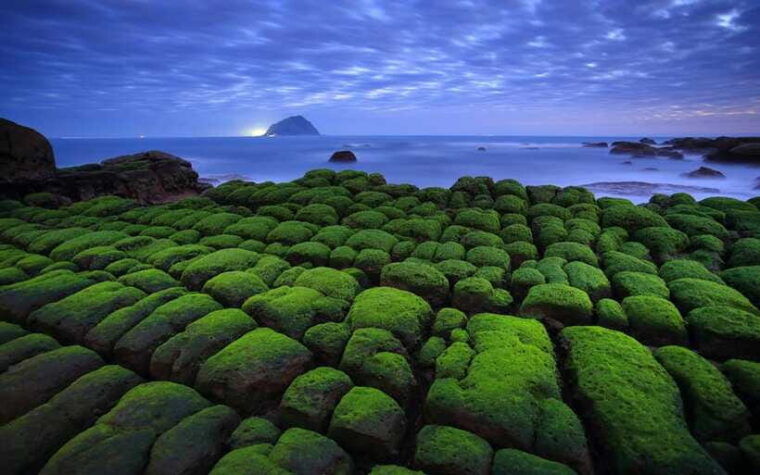 keelung-heping-island-geopark-entry-ticket