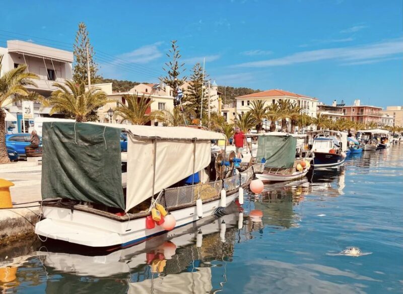 Kefallonia: Full-Day Private Sightseeing Tour - An Overview of the Tour