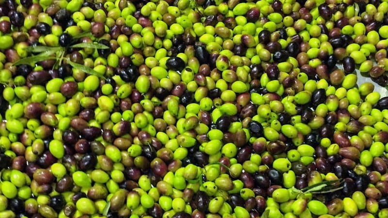 Kefalonia: Culinary and Cultural Guided Tour - Discover the Essence of Kefalonia