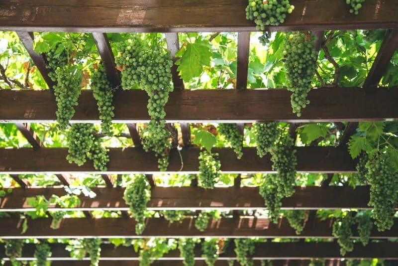 Kefalonia: Culinary and Cultural Guided Tour - Who Would Love This Tour?
