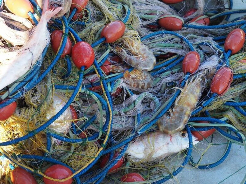 kefalonia-fishing-tour-tradition-flavors-turquoise-seas