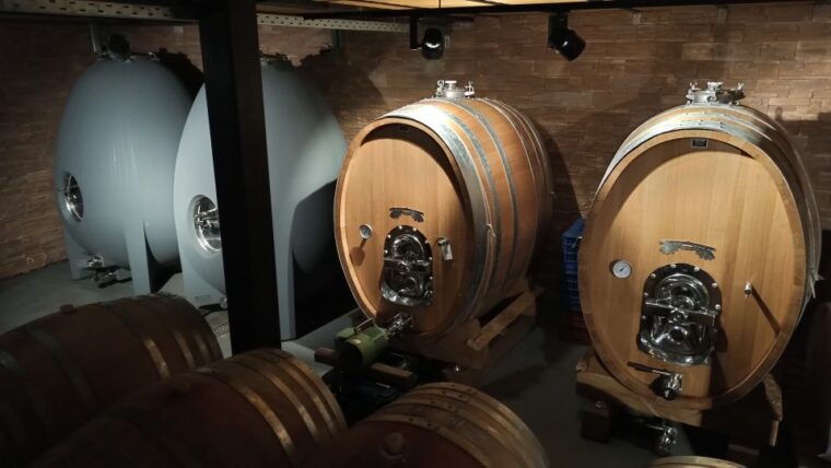 kefalonia-greek-wine-tasting-at-sclavos-winery-near-lixouri