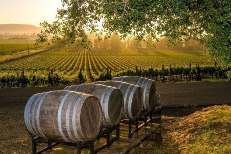 kefalonia-private-wine-tasting-with-vineyard-tour