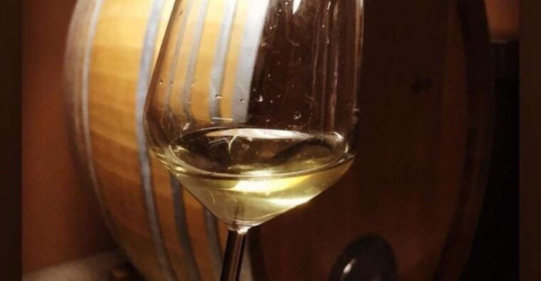 kefalonia-private-wine-tasting-with-vineyard-tour