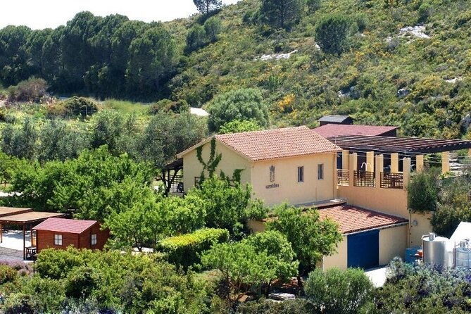 kefalonia-private-wine-tour
