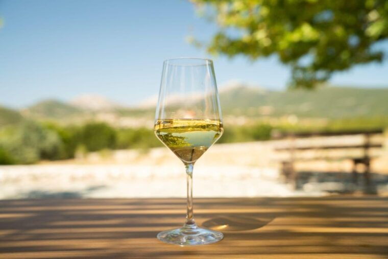 kefalonia-wine-adventure-in-3-wineries-with-tastings-2