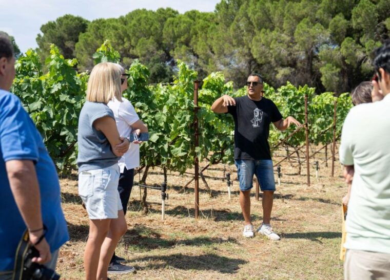 kefalonia-wine-adventure-in-3-wineries-with-tastings-2