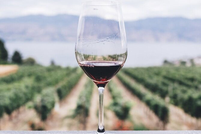 kefalonia-wine-adventure-in-3-wineries-with-tastings