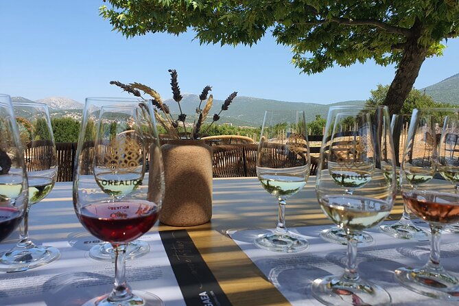 kefalonia-wine-adventure-in-3-wineries-with-tastings