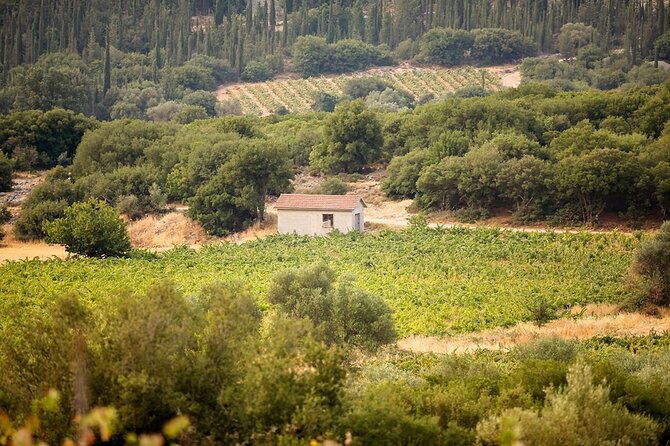 kefalonia-wine-adventure-in-3-wineries-with-tastings