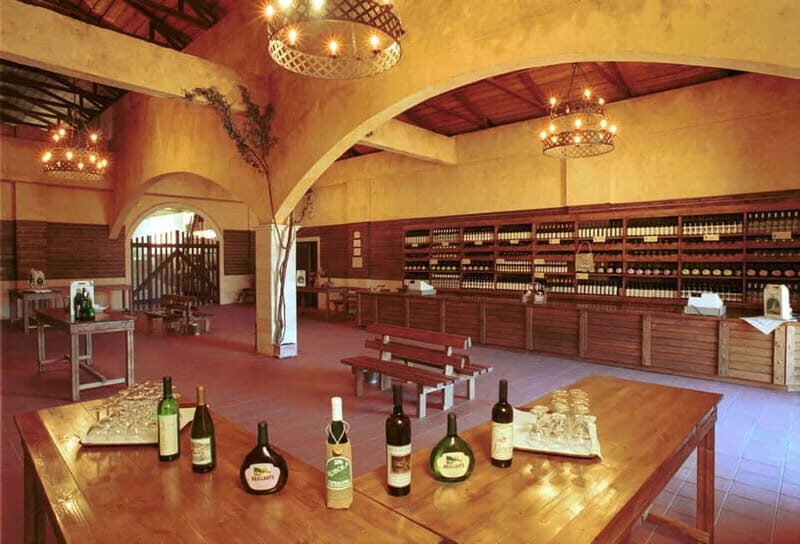 KEFALONIA: WINE TASTING TOUR - Discovering the Kefalonia Wine Tasting Tour