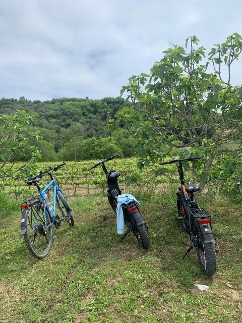 kefalonia-wine-tour-on-e-bikes