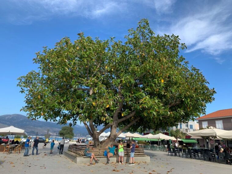 kefalonia-wine-tour-on-e-bikes