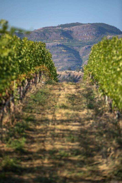 kelowna-lake-country-full-day-guided-wine-tour