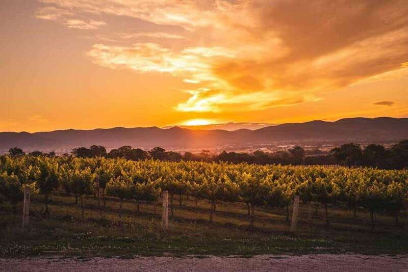kelowna-sunset-sip-wine-tour