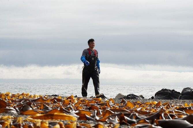 kelp-fisheries-experience-traditional-japanese-food-culture