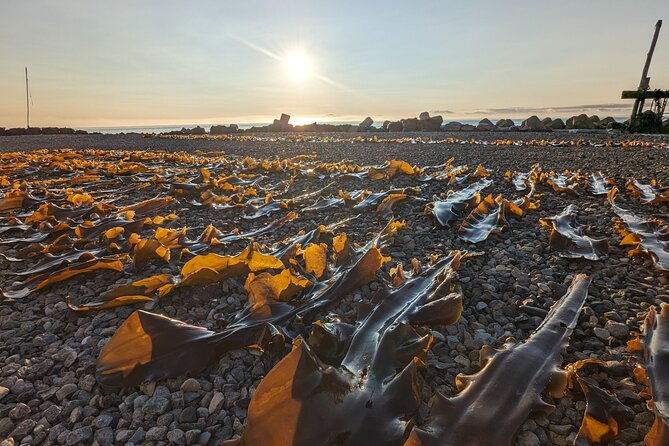 kelp-fisheries-experience-traditional-japanese-food-culture