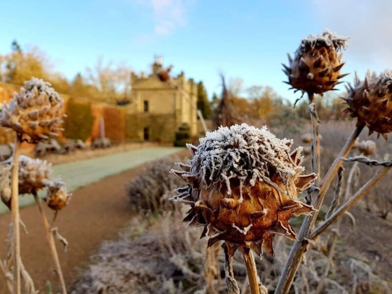 kelso-floors-castle-winter-gardens-entry-ticket