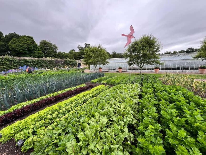 Kelso: Gardens & Grounds Ticket - Discovering the Charm of Floors Castle Gardens & Grounds