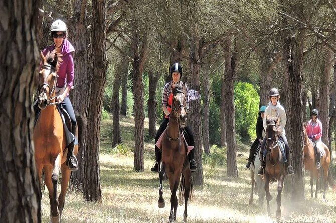 kemer-horse-safari-experience-with-free-hotel-transfer