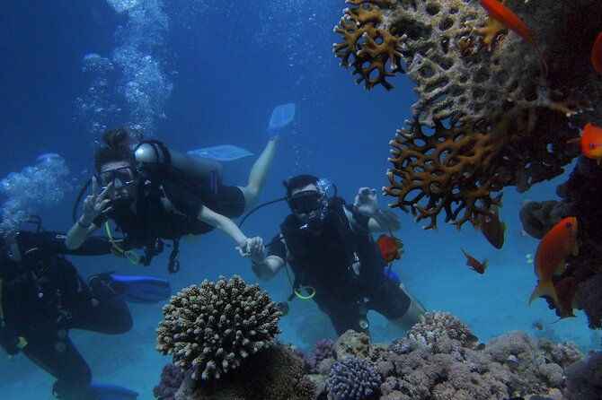 kemer-scuba-diving-experience-two-dives-with-lunch
