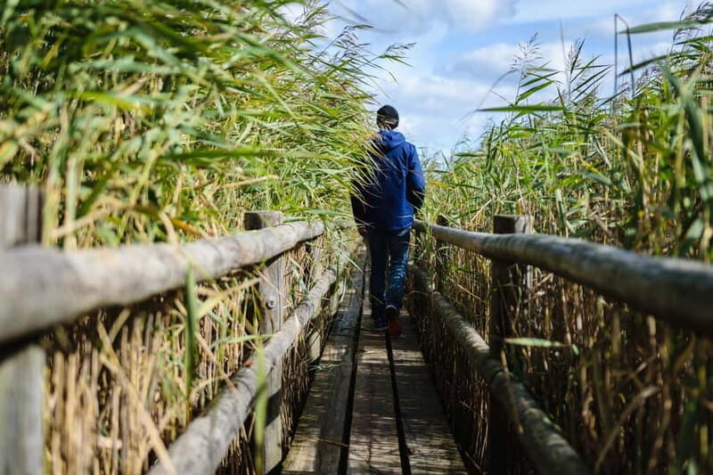 Kemeri National Park & Baltic Seaside Tour Bog Boardwalk - Key Points
