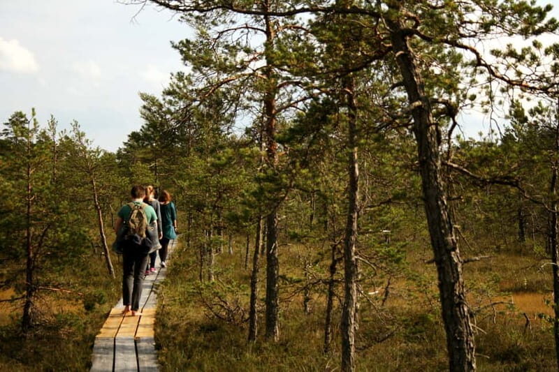 Kemeri National Park & Baltic Seaside Tour Bog Boardwalk - Considerations