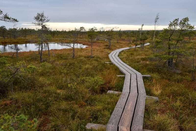 Kemeri National Park & Baltic Seaside Tour Bog Boardwalk - Why This Tour Is Worth It