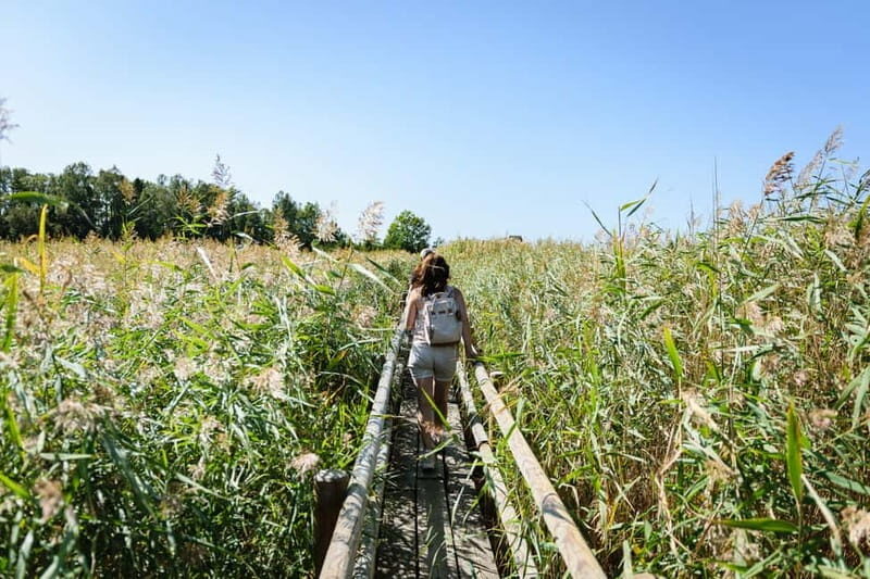 Kemeri National Park & Baltic Seaside Tour Bog Boardwalk - FAQ