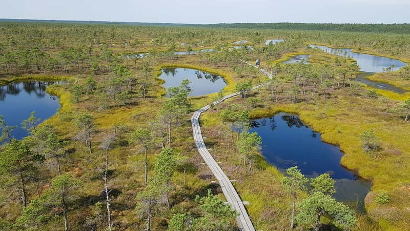 Kemeri National Park Bog Trail near Riga - The Highlights of the Trail