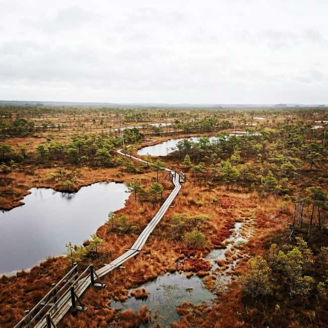 Kemeri National Park Bog Trail near Riga - Practical Details and Value