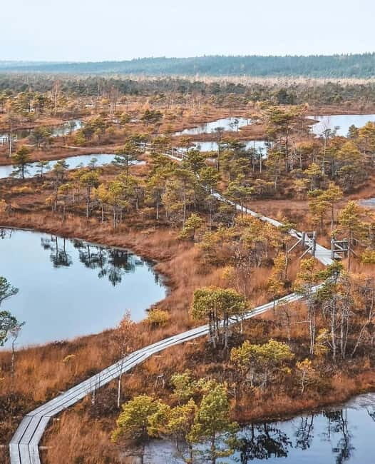 Kemeri National Park Guided Tour - A Closer Look at the Kemeri National Park Guided Tour