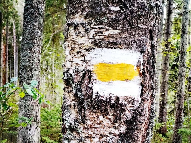 Kemeri National park Hiking trail (16 km) - Discover Latvia’s Kemeri National Park on a 16 km Guided Hike