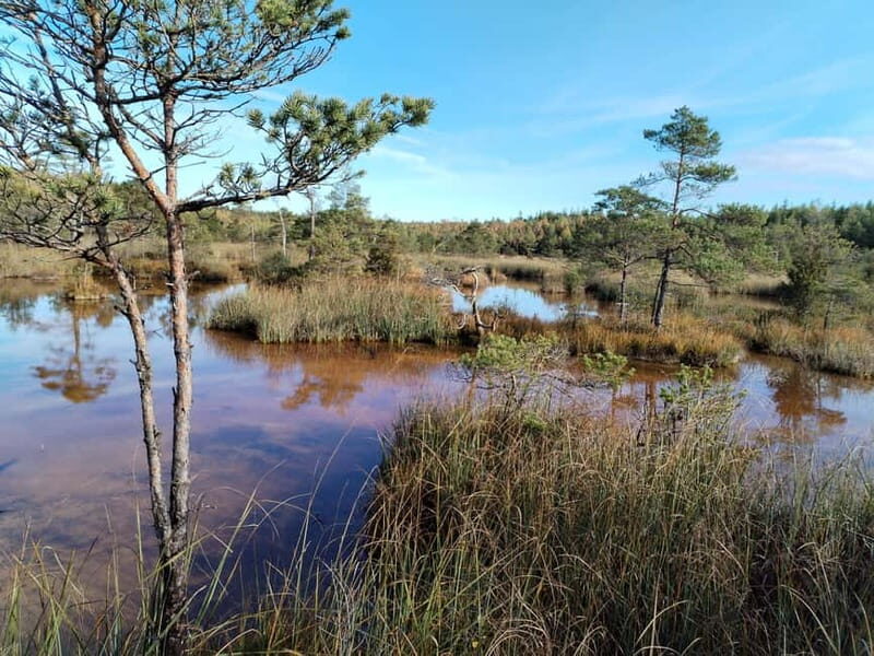 Kemeri National park Hiking trail (16 km) - A detailed look at the Kemeri National Park Hiking Experience