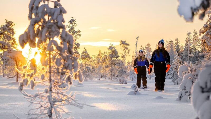kemi-tornio-nature-tour-with-snowshoes