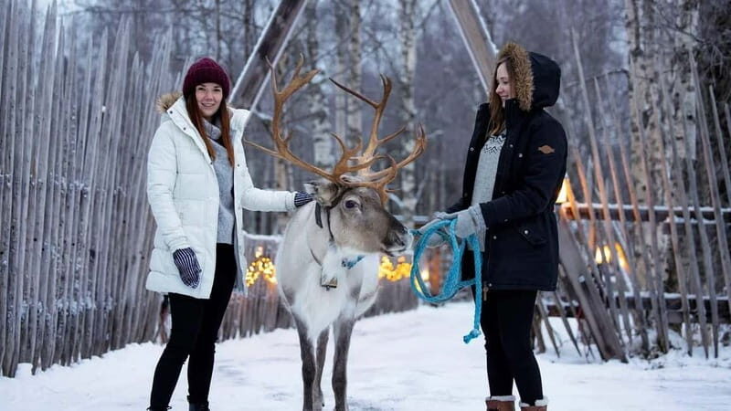 Kemi-Tornio: Reindeer farm experience - Authentic Cultural Connection  