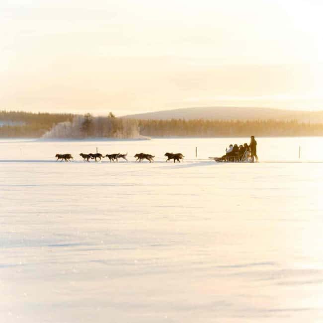 Kemijärvi: Insider 10 km Self-Drive Husky Sledding Adventure - The Experience in Detail