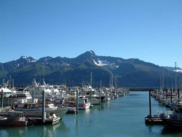 kenai-fjords-and-resurrection-bay-half-day-wildlife-cruise