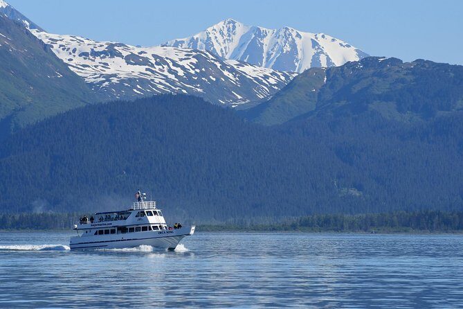 Kenai Fjords Orca Quest Cruise - Final Thoughts