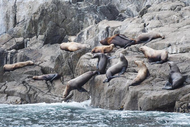 Kenai Fjords Orca Quest Cruise - Frequently Asked Questions