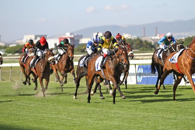 Kenilworth Raceday Tour - Key Points