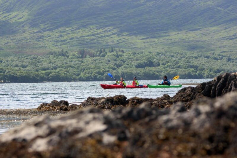 kenmare-bay-guided-kayaking-tour-no-wetsuits-required