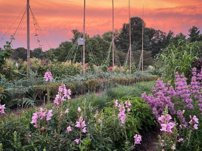 Kennett Square: Longwood Gardens Admission Ticket - Discover Longwood Gardens: A Floral Wonderland in Pennsylvania