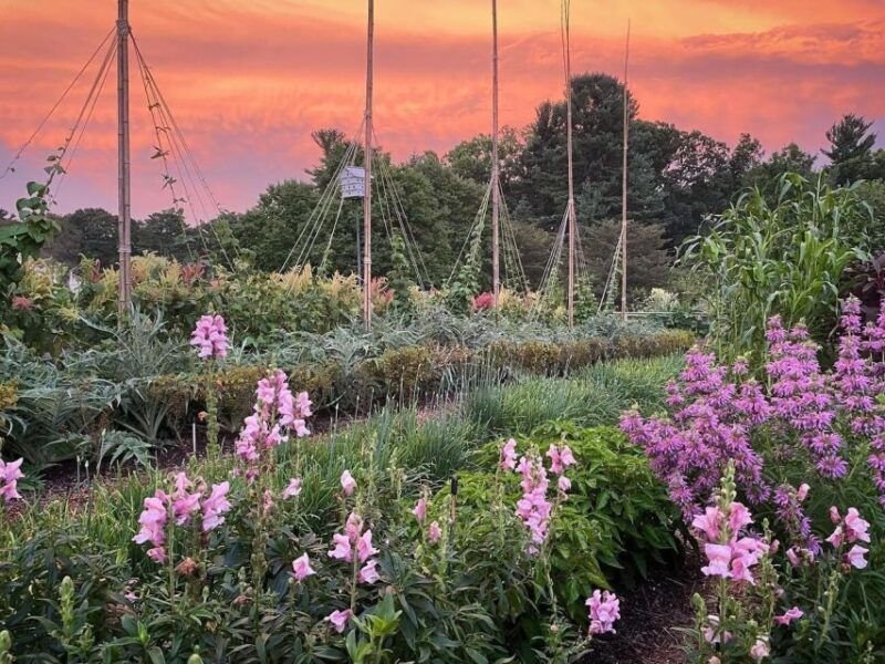 kennett-square-longwood-gardens-admission-ticket