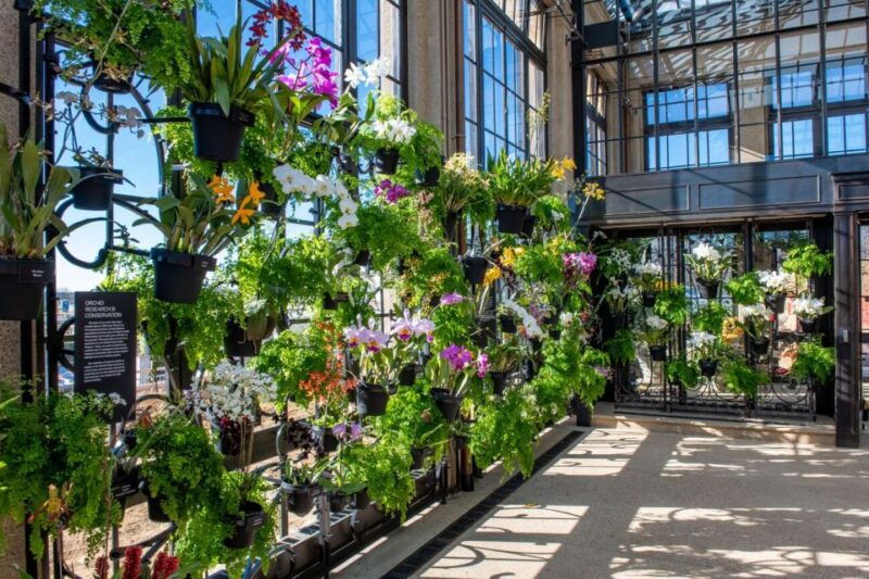 kennett-square-longwood-gardens-admission-ticket