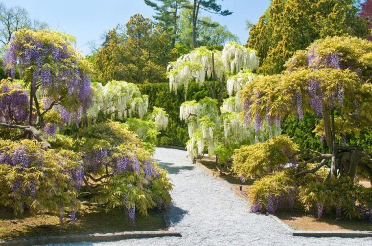 kennett-square-longwood-gardens-admission-ticket